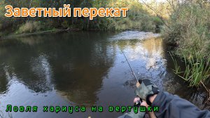 Заветный перекат. Ловля Хариуса на вертушки