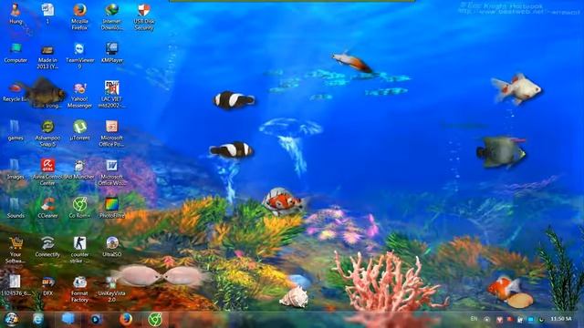 Windows fish screen смотреть онлайн