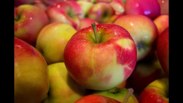 The Apple Cure: See How Apples Detox and Treat Many Diseases смотреть онлайн