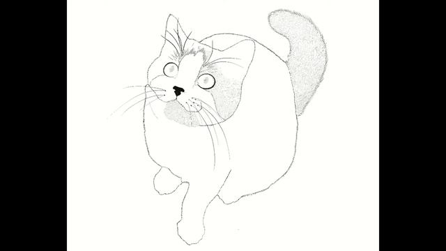 Time-lapse Procreate Cat Pet portrait Digital art Drawing Ipad pro Apple pencil 2 | Dot art La смотреть онлайн