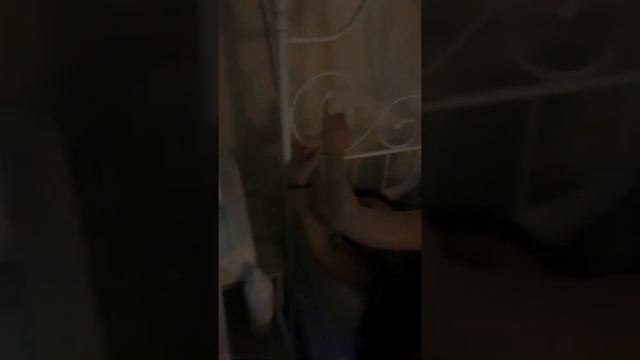 Родила как мечтала в ЩПЦ