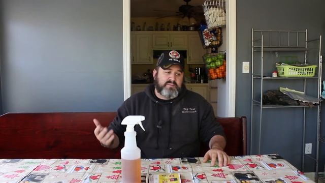 Home Maintenance E 14 Homemade Cleaner смотреть онлайн