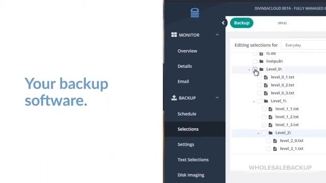 What is WholesaleBackup? (30 second overview) смотреть онлайн