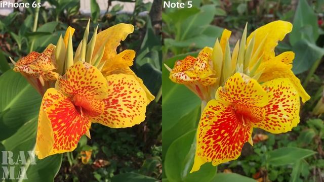 Apple iPhone 6s vs Galaxy Note 5, Battle of the Cameras смотреть онлайн