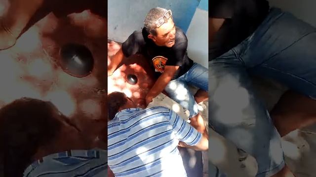 Panaderos en accion en accion смотреть онлайн