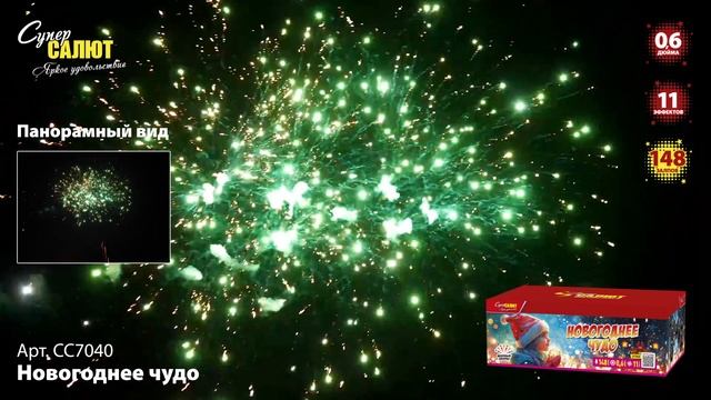 СС7040_2024 смотреть онлайн