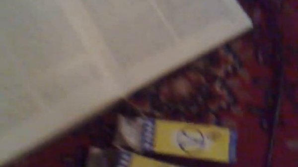 TESLA Music 130 AZK360 [Tube Amplifier]