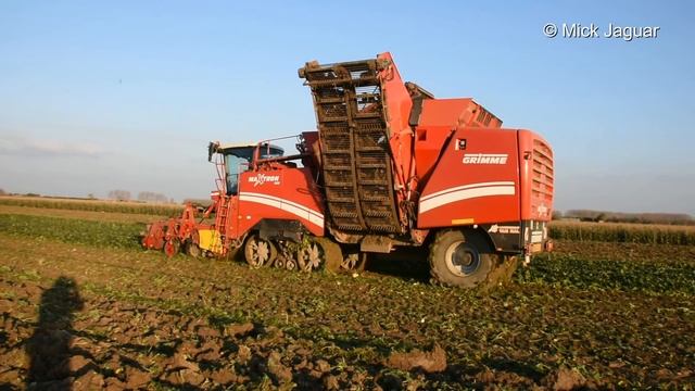 Grimme Maxtron 620 - Loonbedrijf Van Hal - bieten rooien смотреть онлайн