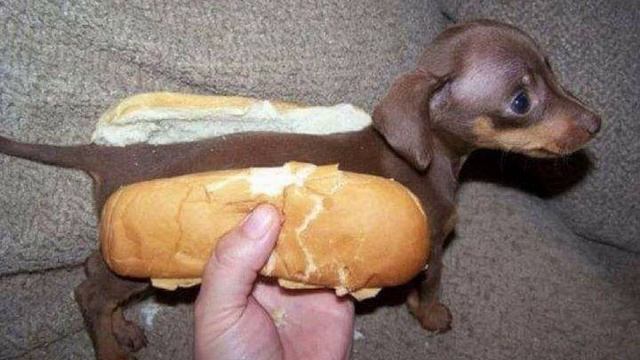 Hot Dog смотреть онлайн