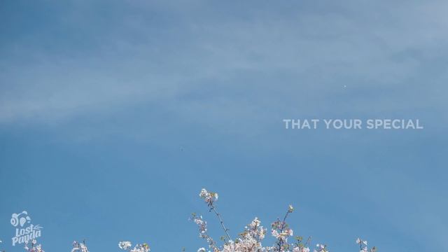 Ali Gatie - Running On My Mind (Lyrics) смотреть онлайн