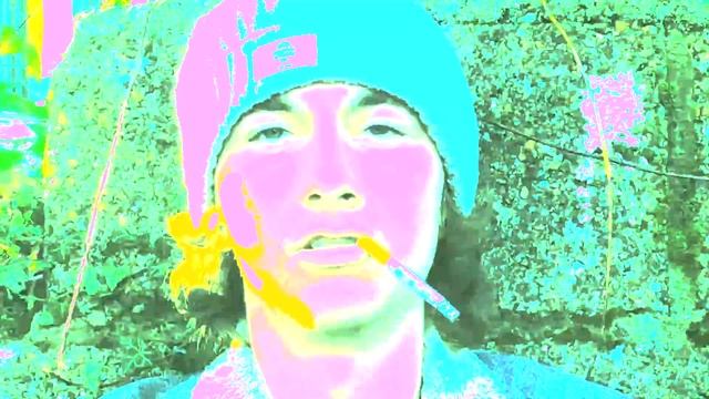 MAC DEMARCO - ODE TO VICEROY