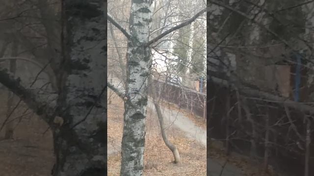 View from my window! смотреть онлайн
