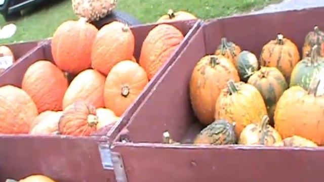 Pt 4   Apple Picking