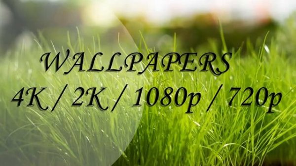 Pack de Wallpapers 4k / 2k / Full HD 1080p / HD 720p - Free Download