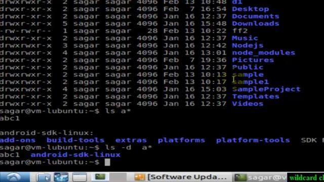wildcard characters in Linux смотреть онлайн