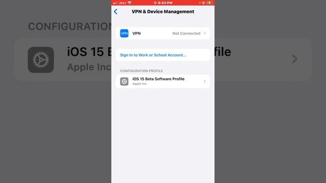 How To Remove/Delete iOS 15.6 Public Beta Profile | Delete iOS 15.6 Beta Profile On iPhone iPad|202 смотреть онлайн