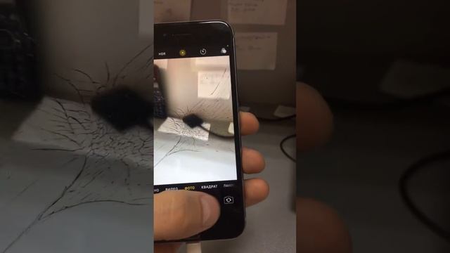 21 апреля 2021 г. смотреть онлайн