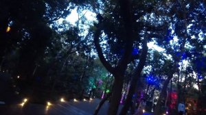 Парк Феникс, Санья, Китай. Часть 6