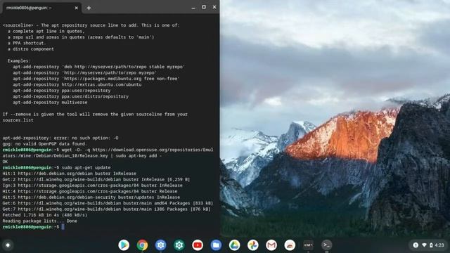 How to download Windows games on your Chromebook using lutris смотреть онлайн