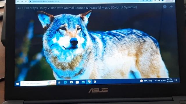 Laptop Notebook ASUS L200H Intel Atom x5-Z8350 4GB DDR3 64GB eMMC смотреть онлайн