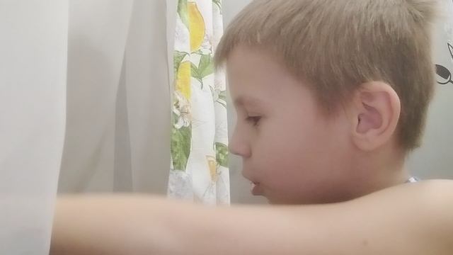 разновидность кабачков