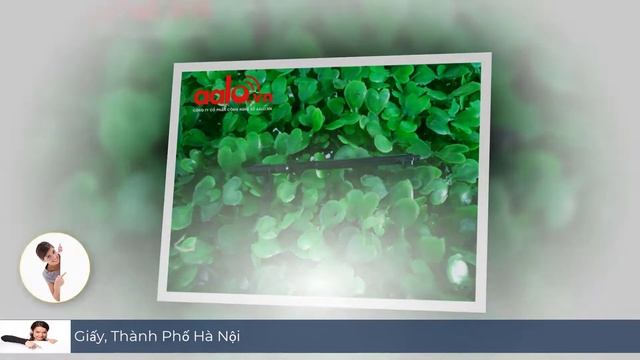 Main Nguồn máy in HP P1005 смотреть онлайн