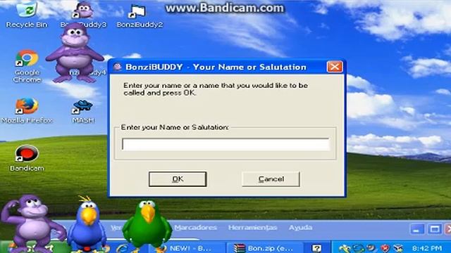 BonziBUDDY & MaxALERT Installs ThemSelfs смотреть онлайн