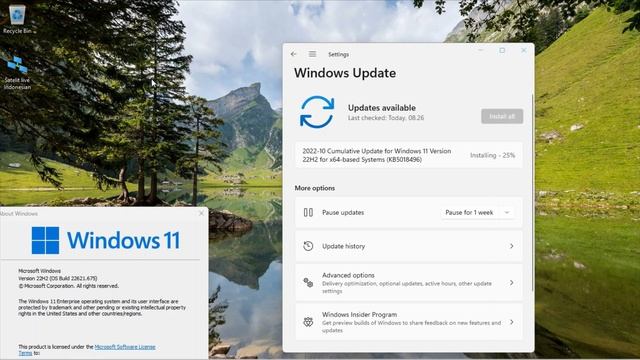 2022-10 Cumulative Update for Windows 11 Version 22H2 for x64-based Systems (KB5018496) смотреть онлайн