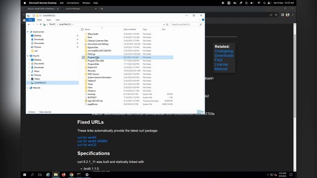 How to use Curl in Windows OS (win server, win desktop)!!!! смотреть онлайн