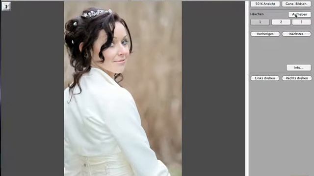 Canon Digital Photo Professional Tutorial - Schnellueberpruefungswerkzeug (4/20) смотреть онлайн