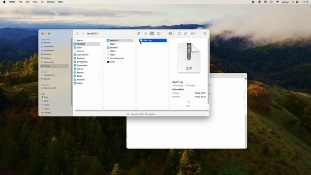 macOS - how to password protect a file or directory with zip смотреть онлайн