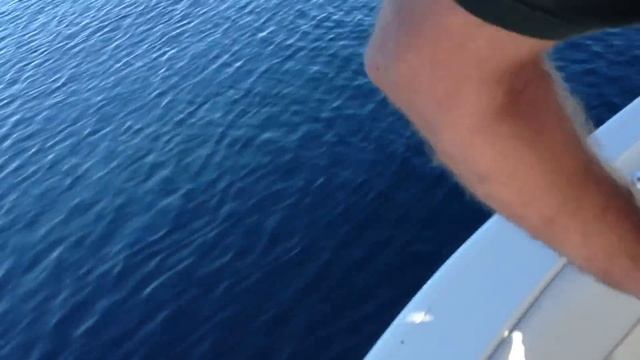 18+ Ft Great White Shark Stalks Boat on video (part 1) смотреть онлайн