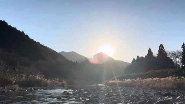 IPhone 15 Pro Max Cinematic Shoot #nature