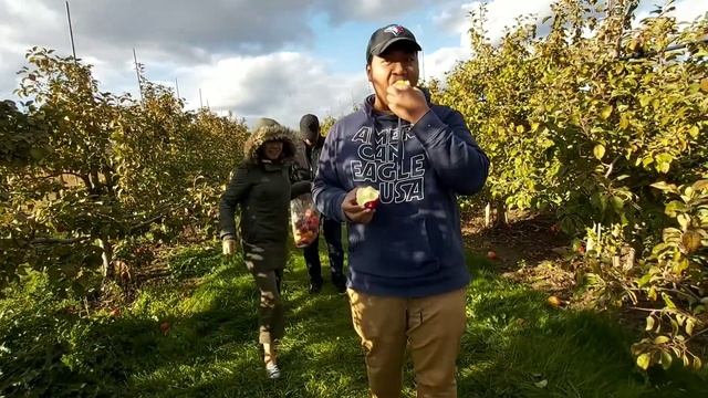 Family Apple Picking смотреть онлайн