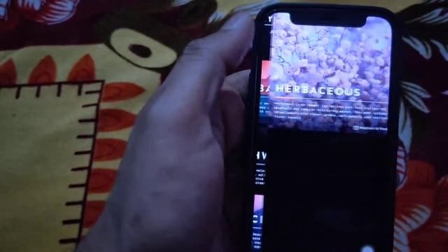 best wallpaper app for ios device for iphone 🔥| free wallpaper app on app store 😱 смотреть онлайн