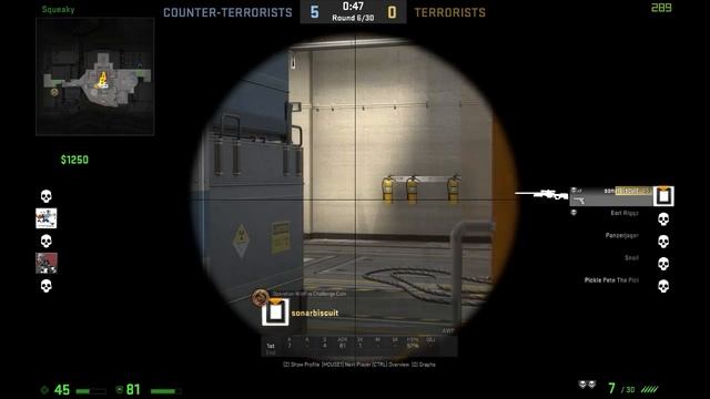 CS:GO - ~]D4NK[~ Militia LOL Montage 5 смотреть онлайн
