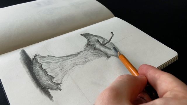 ASMR Apple Drawing (No Talking) + Real Bird Sounds in Background смотреть онлайн