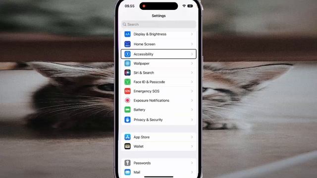 iPhone 14 Pro : How to disable the voice over feature смотреть онлайн