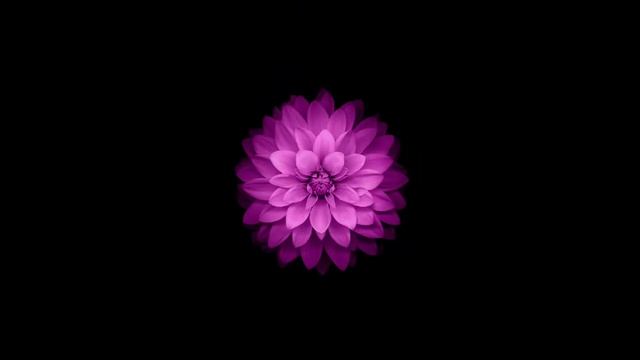 List of amoled wallpaper смотреть онлайн