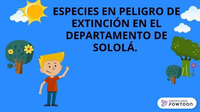 Conservacion de bienes y servicios смотреть онлайн