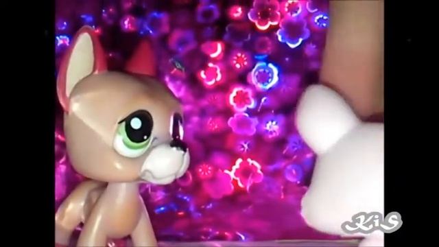 ♬Littlest Pet Shop♬ ..... MUZIC STOP..... Britney Spears-Toxic смотреть онлайн