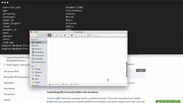 Installing MongoDB on Mac 1 смотреть онлайн