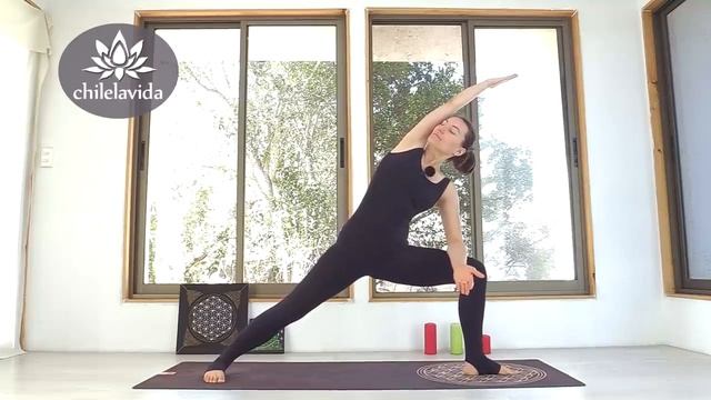 РАСТЯЖКА НА ВСЕ ТЕЛО День 1 _ РАСТЯЖКА СПИНЫ _ ВЫТЯЖЕНИЕ и Упражнения на растяжку _ Йога chilelavida смотреть онлайн