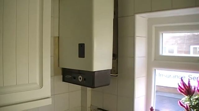 This cat thought he was a plumber! смотреть онлайн
