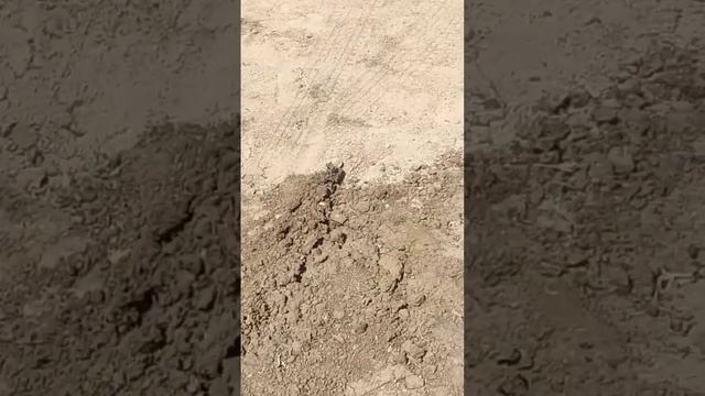 2,5 тонны на легковом прицепе-да легко!))) Заказывайте!!! смотреть онлайн