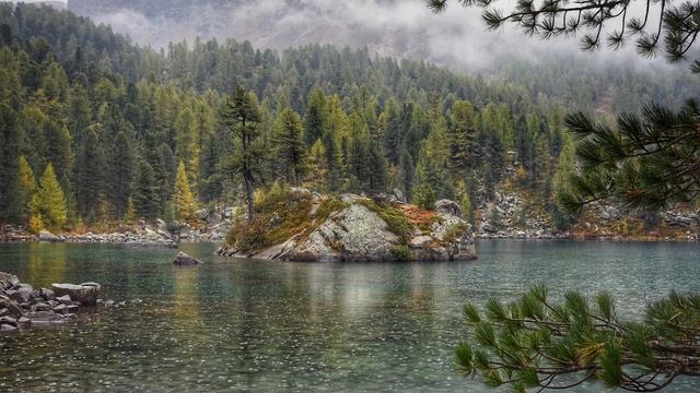 Unwind Your Mind with These Calming Rain Sounds for the Most Relaxing Day Ever! смотреть онлайн