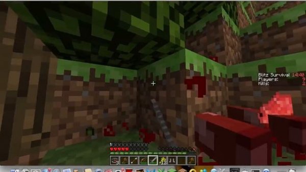 Minecraft Hunger games/ golden apple fail