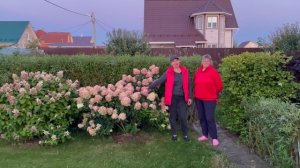 Русская ива. Как украсить участок ивами. В гостях у Галины.