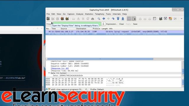 PTP v5 course Ruby & Metasploit packetfu смотреть онлайн