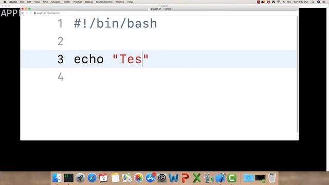 EP011 - macOS Linux - Bash Scripting - Important Concepts смотреть онлайн
